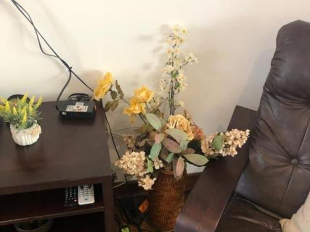 Condominio Pinares/Condominio Pinares, Pucón