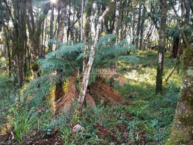 Terreno venda em Região Geográfica Imediata de Caxias do Sul, Canela