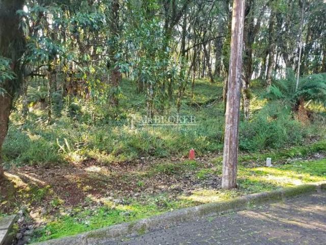 Terreno venda em Região Geográfica Imediata de Caxias do Sul, Canela