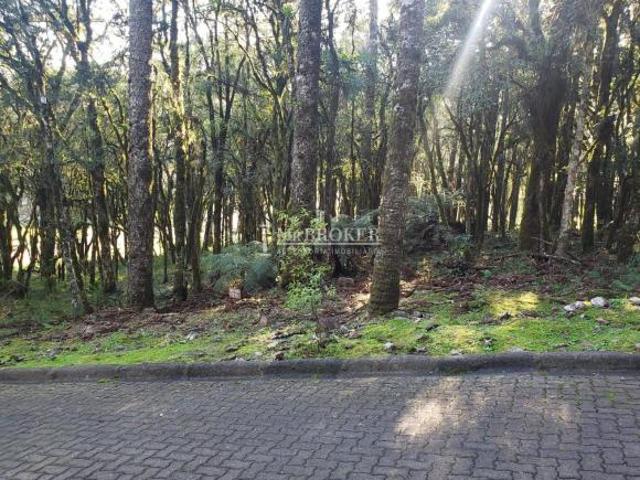 Terreno venda em Região Geográfica Imediata de Caxias do Sul, Canela
