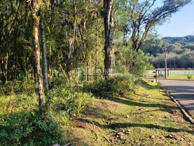 Terreno venda em Região Geográfica Imediata de Caxias do Sul, Canela