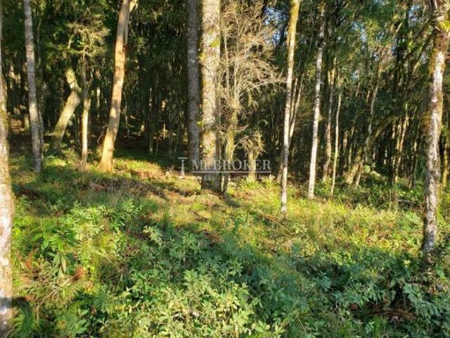 Terreno venda em Região Geográfica Imediata de Caxias do Sul, Canela