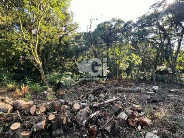 Terreno venda em Região Geográfica Imediata de Caxias do Sul, Canela