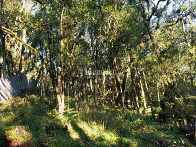 Terreno venda em Região Geográfica Imediata de Caxias do Sul, Canela