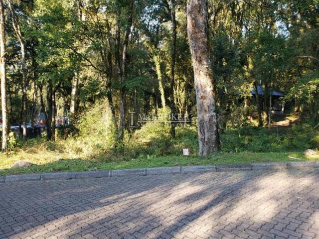Terreno venda em Região Geográfica Imediata de Caxias do Sul, Canela