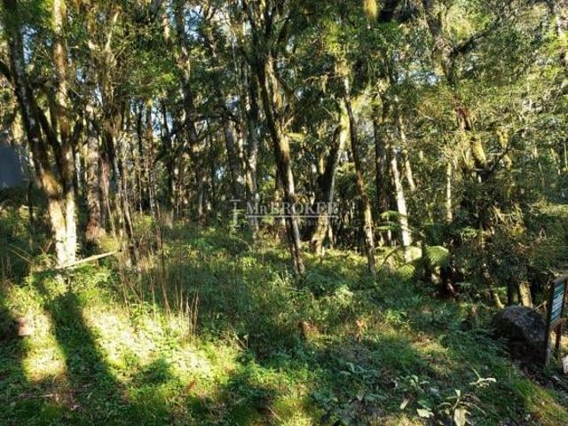 Terreno venda em Região Geográfica Imediata de Caxias do Sul, Canela