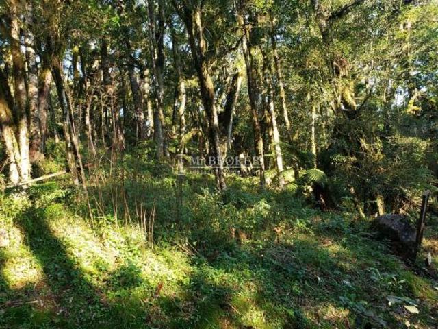 Terreno venda em Região Geográfica Imediata de Caxias do Sul, Canela
