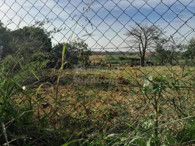 Sítio e chácara venda em Região Imediata de São José do Rio Preto, Região Metropolitana de São José do Rio Preto