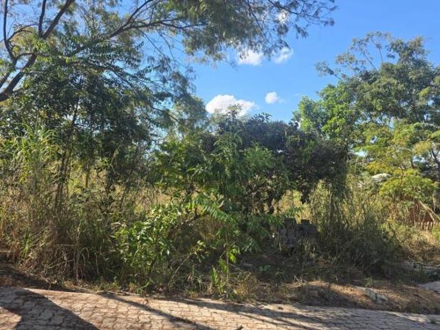 Terreno venda em Brasília, Plano Piloto