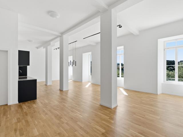 Apartment kaufen in Stein (AR), Appenzell Ausserrhoden