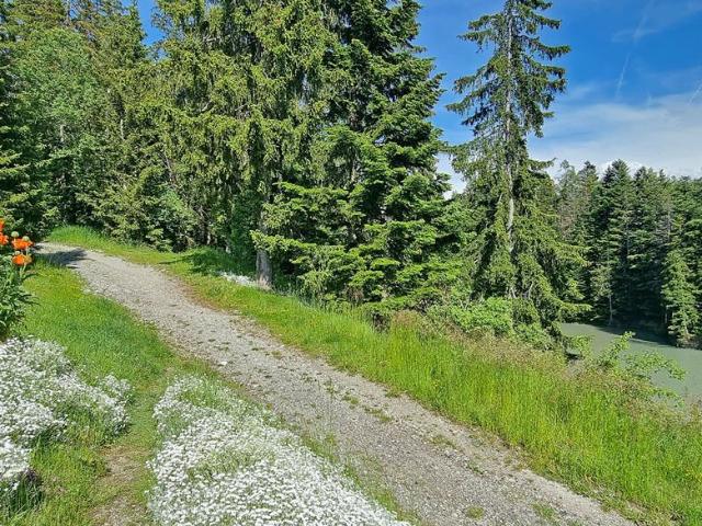 Apartment kaufen in Crans-Montana, Wallis
