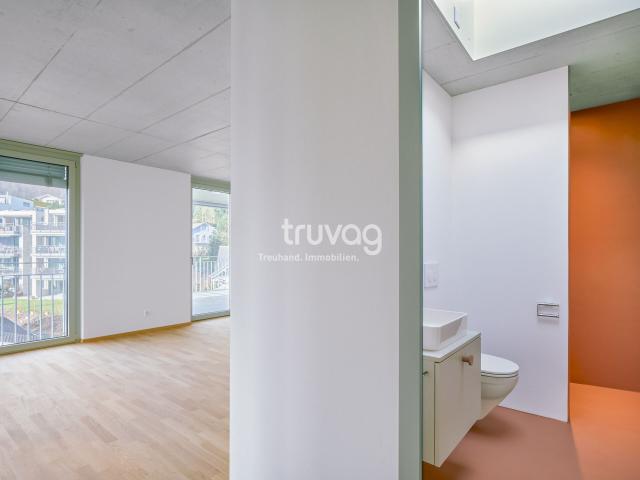 Apartment kaufen in Käppelimatt, Willisau