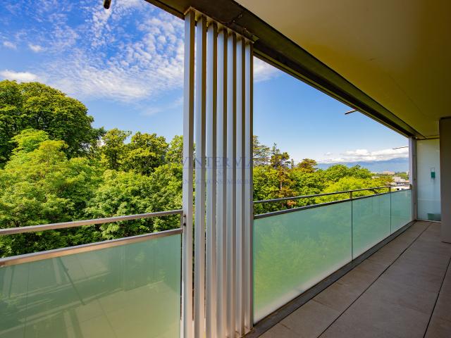Apartment kaufen in Carouge (GE)