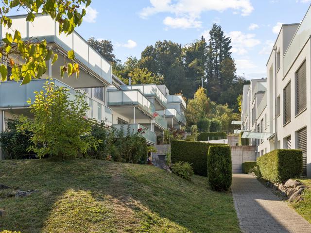 Apartment kaufen in Schlieren, Bezirk Dietikon