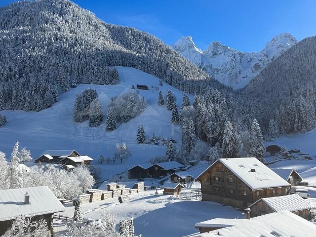 Apartment kaufen in Château-d'Oex, Waadt