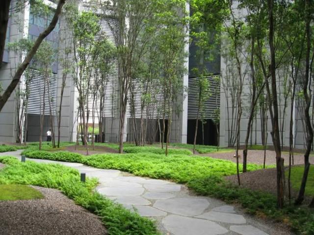 Apartment for rent in Bukit Bintang, Kuala Lumpur