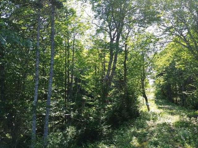 Land for sale in Nova Scotia