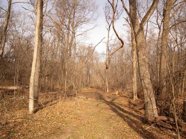 Land for sale in Seneca, Missouri