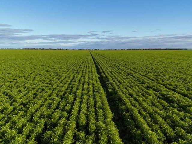 Cottage for sale in Blyth, South Australia
