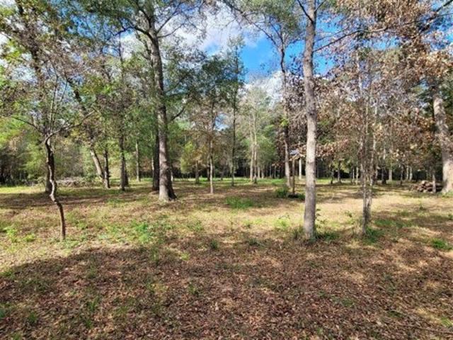 Land for sale in Conroe Land for sale in Conroe