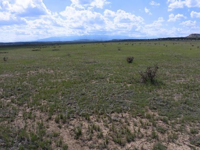 Land for sale in Rye, Colorado
