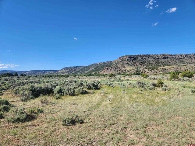 Land for sale in Conejos, Colorado