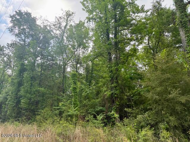 Land for sale in Mccomb, Mississippi