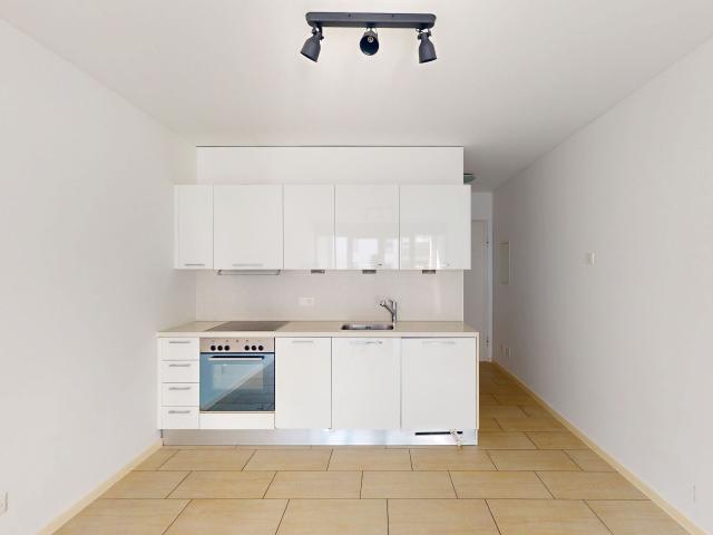 Apartment kaufen in Bellinzona, Tessin