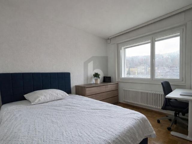 Apartment mieten in Vevey, Waadt