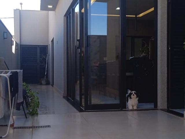 Casa aluguel em Condomínio Setlife 1, Mirassol