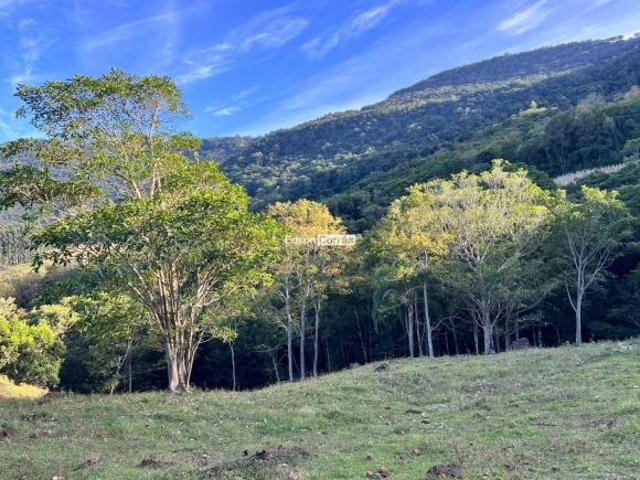 Sítio e chácara venda em Região Geográfica Imediata de Taquara - Parobé - Igrejinha, Região Metropolitana de Porto Alegre