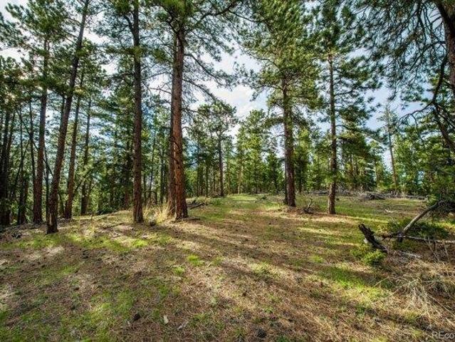 Land for sale in Conifer, Colorado