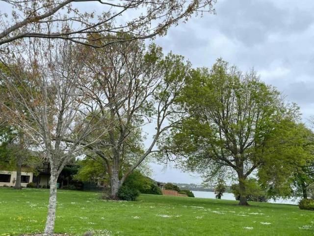 House for rent in Takanini, Auckland