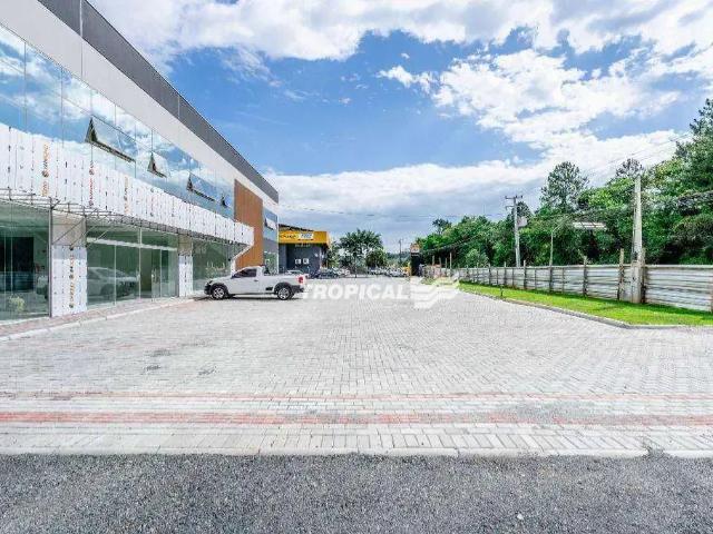 Escritorio aluguel em Região Geográfica Imediata de Blumenau, Blumenau