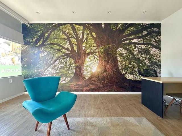 Escritorio aluguel em Região Geográfica Imediata de Blumenau, Blumenau