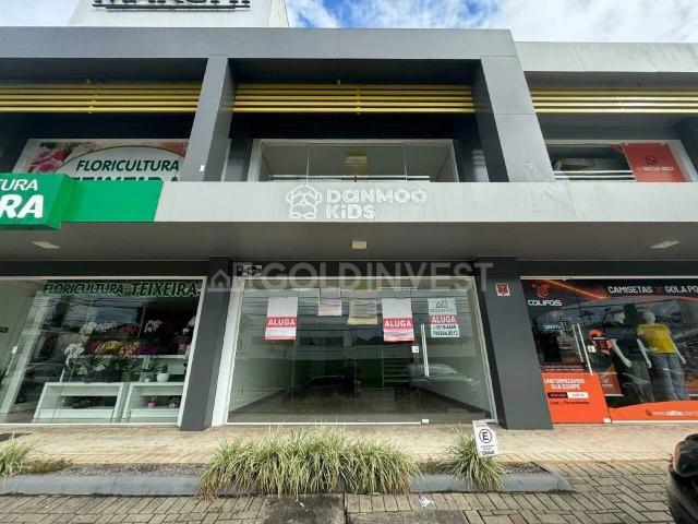 Escritorio aluguel em Souza Cruz, Brusque