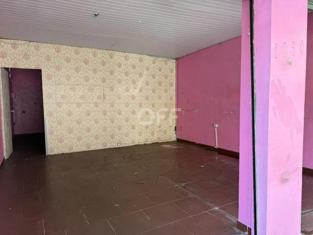 Escritorio aluguel em Vila Itapura, Campinas