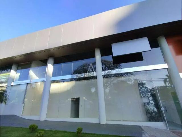Escritorio aluguel em Região Geográfica Imediata de Cascavel, Cascavel