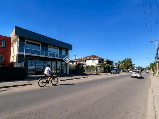 Escritorio aluguel em Muquém, Florianópolis