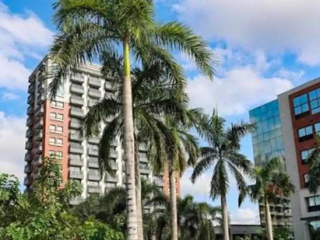 Escritorio aluguel em Região Geográfica Imediata de Manaus, Itamarati