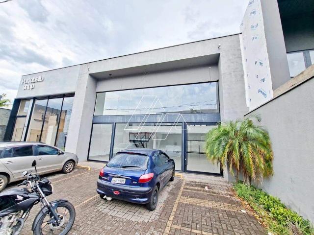 Escritorio aluguel em Marília, Região Geográfica Intermediária de Marília