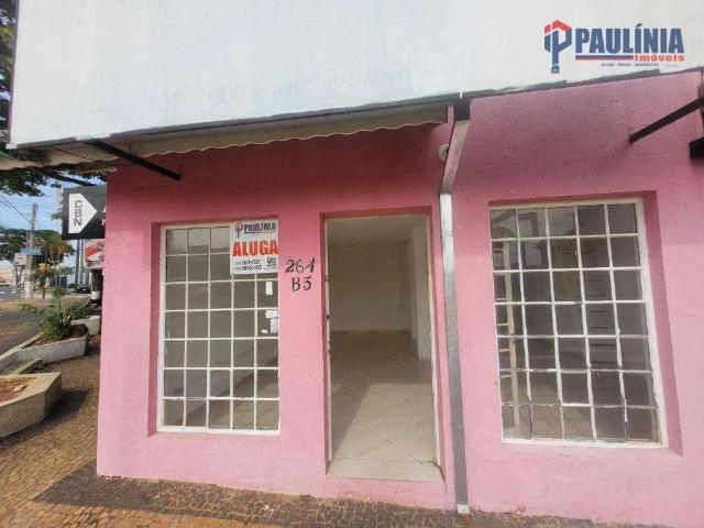 Escritorio aluguel em Santa Cecília, Paulínia