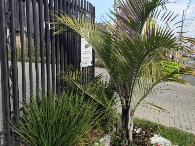 Escritorio aluguel em Região Geográfica Imediata de Curitiba, Região Metropolitana de Curitiba