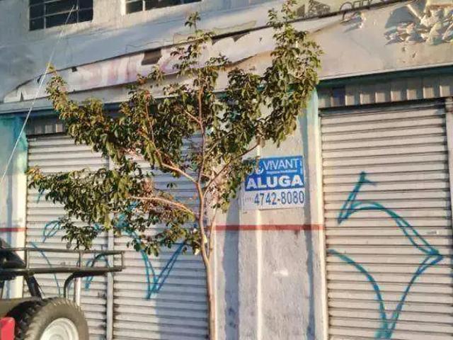 Escritorio aluguel em Poá