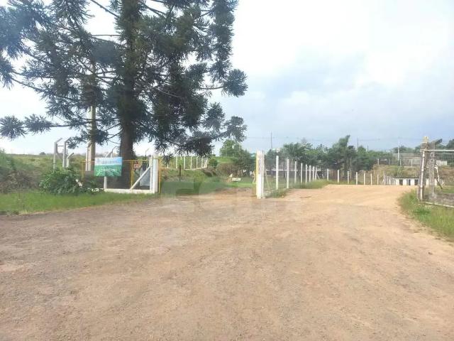 Escritorio aluguel em Região Geográfica Imediata de Ponta Grossa, Ponta Grossa