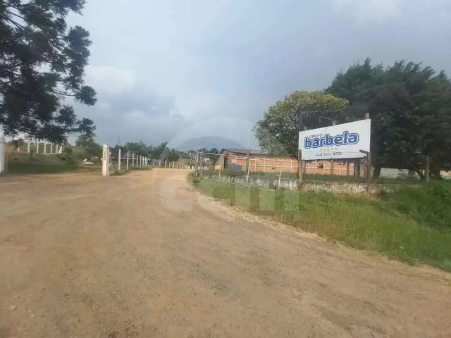 Escritorio aluguel em Região Geográfica Imediata de Ponta Grossa, Ponta Grossa