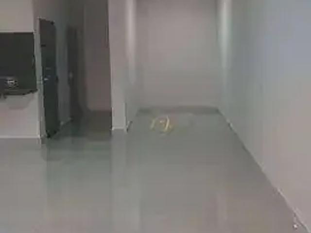 Escritorio aluguel em Região Imediata de São José do Rio Preto, Região Metropolitana de São José do Rio Preto