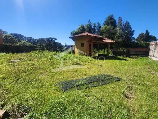 Escritorio aluguel em Região Geográfica Imediata de Curitiba, Região Metropolitana de Curitiba