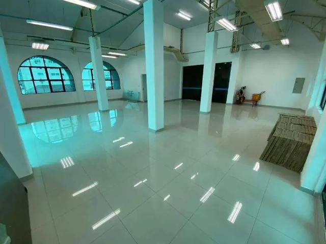 Escritorio aluguel em Boa Vista, São Vicente