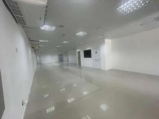 Escritorio aluguel em Casa Branca, Santo André